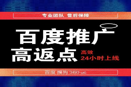 百度竞价排名服务：成功案例解析与优化策略